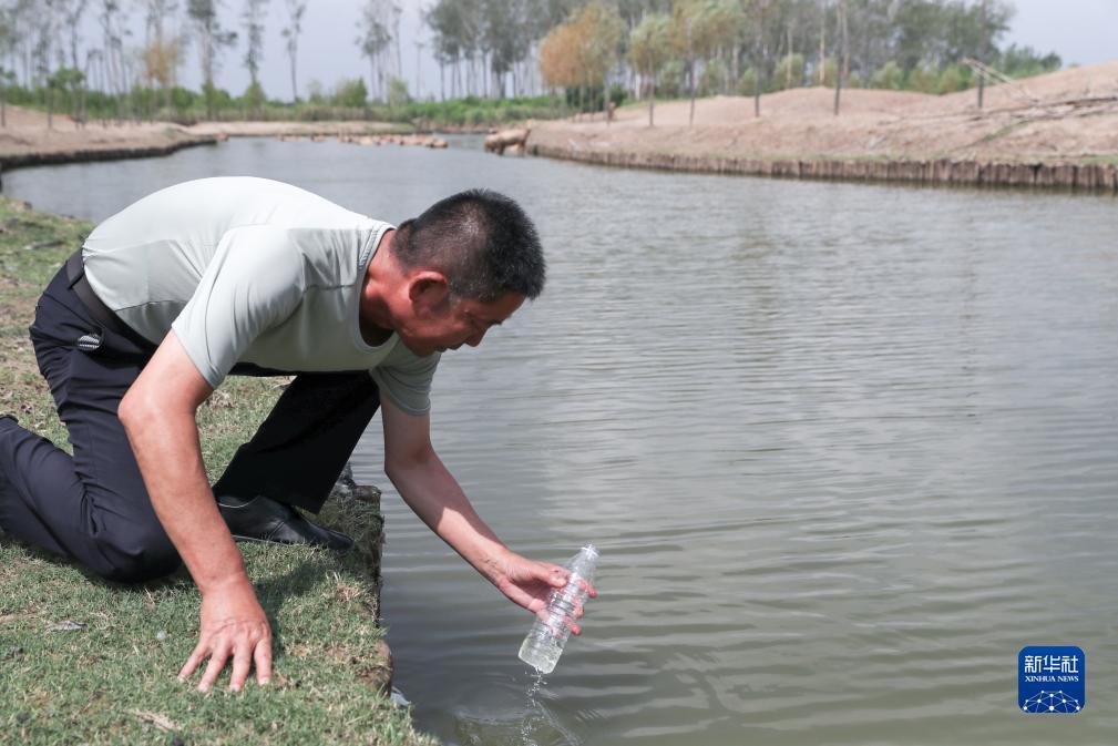 新濠水果机9线游戏技巧